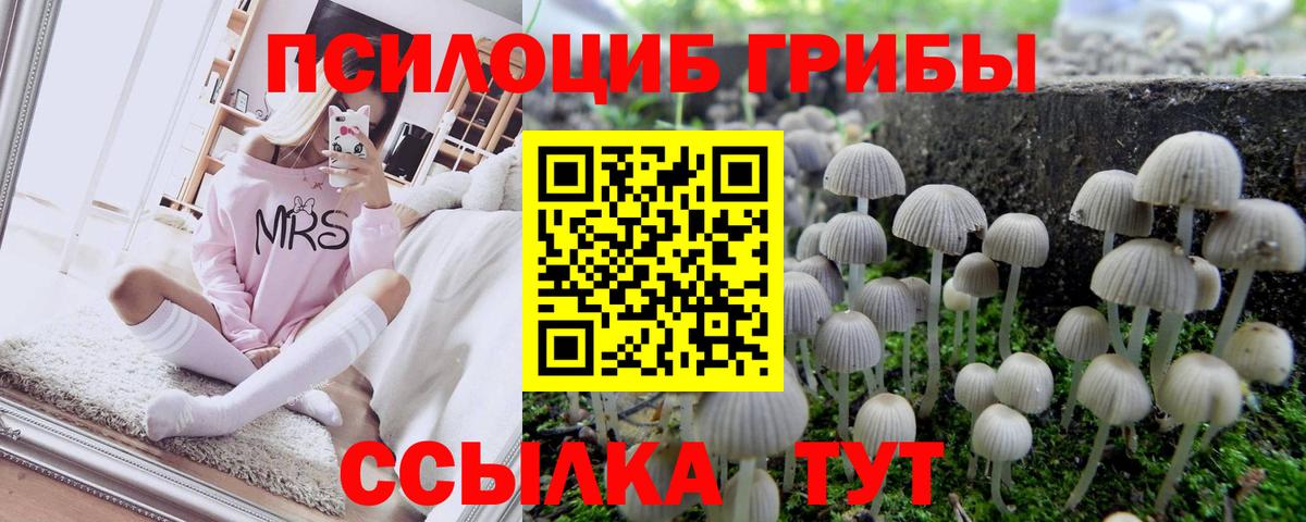 Галлюциногенные грибы Psilocybine cubensis Дзержинский